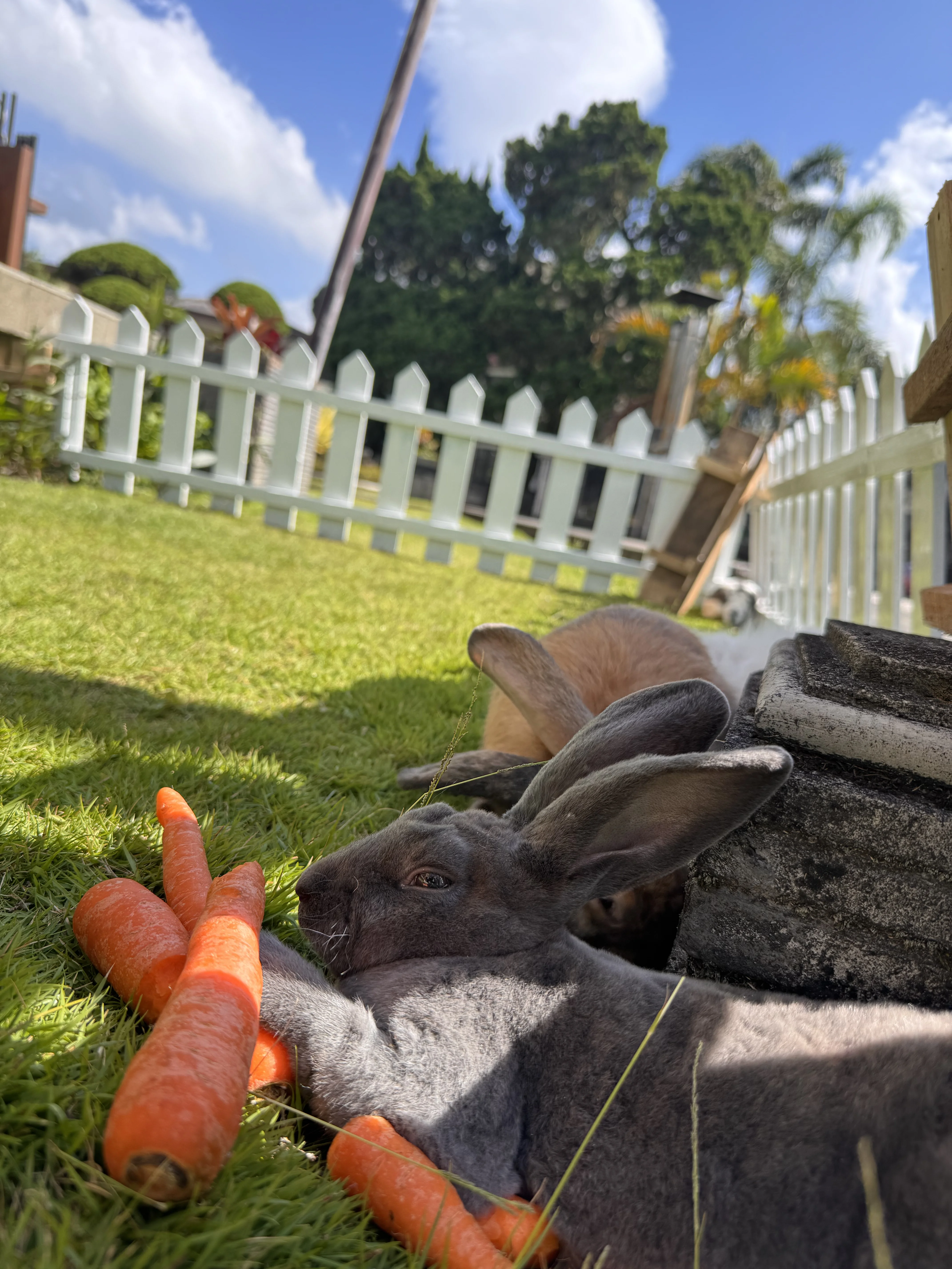 Play Zone photo 1